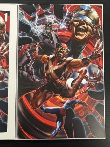 Ultimate Endgame #1 Blind Bag Exclusive Virgin Var + Reg Marvel 2025 PROSHIPPER