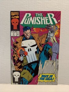 Punisher #71