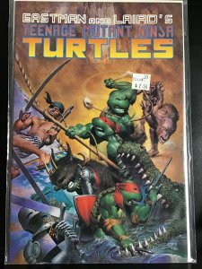 Teenage Mutant Ninja Turtles #33 (1990)