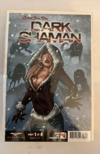 Grimm Fairy Tales presents Dark Shaman #1 Cover C (2014)