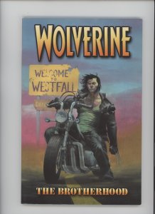 Wolverine #3 (2003) Wolverine