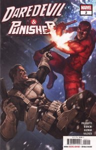 Daredevil & Punisher (2025) #2 NM Skan Cover