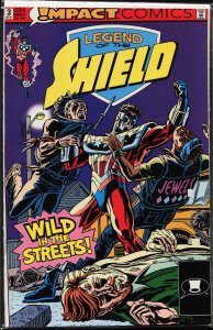 Legend of the Shield #3 (1991) The Shield