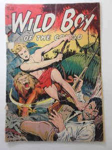 Wild Boy of the Congo #12 The Curse of Kalunga! Fair Condition!