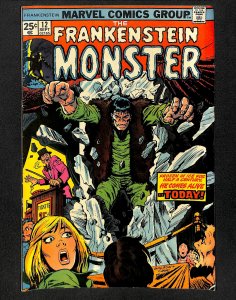 The Frankenstein Monster #12 (1974)