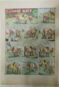 (36) Gasoline Alley Sunday Pages by Frank King from 1936 Size: 11 x 15 inches