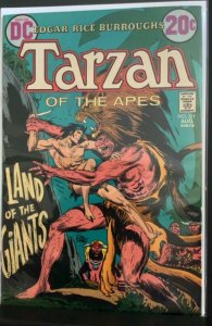 Tarzan #211 (1972)