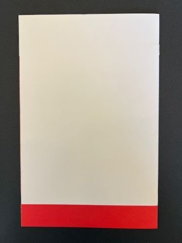 Storm #1 Blank Cover (2014) - Variant