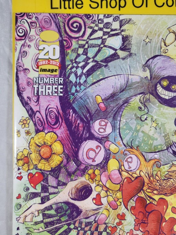 Mind the Gap #3 Skottie Young Variant 2012 Image Comics