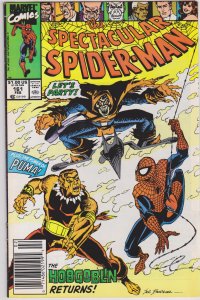 The Spectacular Spider-Man #161 (1990)