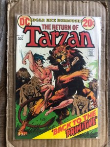 Edgar Rice Burroughs' Tarzan #221 (1973)