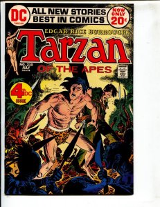Tarzan #210  1972 - DC  -NM- - Comic Book
