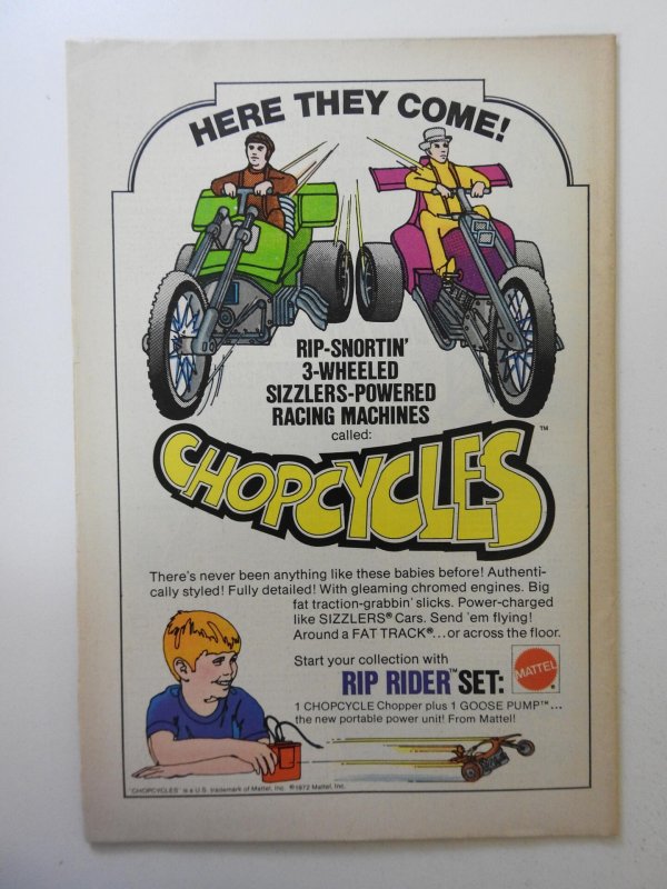 The Cat #2 (1973) VG/FN Condition!