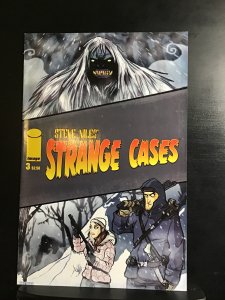 Steve Niles' Strange Cases #3 (2008)