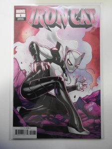 Iron Cat #1 Ron Lim Variant (2022)
