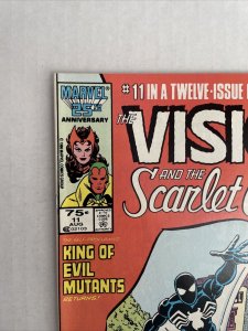 The Vision And The Scarlet Witch #11 Newsstand