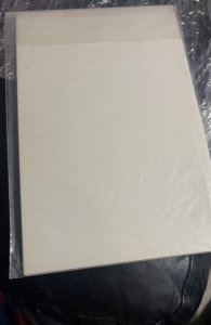 The Spectacular Spider-Man #133 (1987)