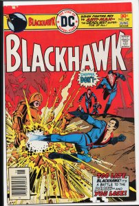 Blackhawk #246 (1976)