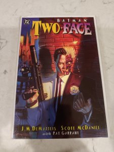 Batman/Dos Caras: Crimen y Castigo (1995)