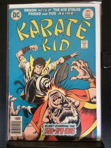 Karate Kid #6 (1977)