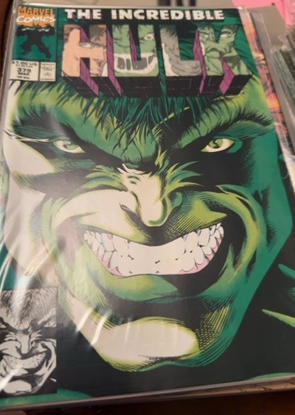 The Incredible Hulk #379 (1991) Hulk 