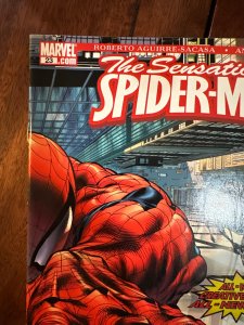 The Sensational Spider-Man #23 (2006)
