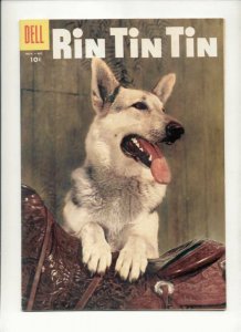 Rin Tin Tin LOT 11  13  14  16  SALE 