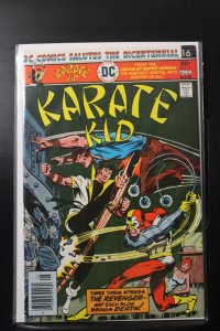 Karate Kid #3 (1976)