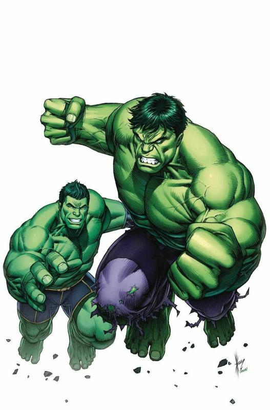 Generations Totally Awesome Hulk Poster by Dale Keown (24 x 36) Rolled/New!