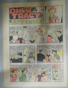 Dick Tracy Sunday Page by Chester Gould from 7/24/1977 Size: 11 x 15 inches