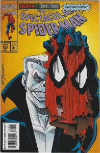 Spectacular Spider-Man #206