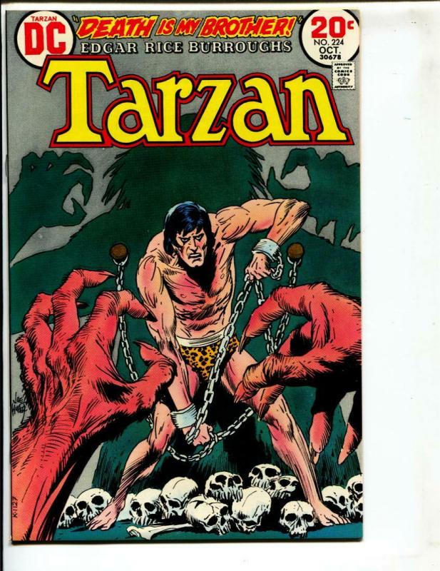 Tarzan-#224-1973-DC-BRONZE-AGE-Joe Kubert-NM-