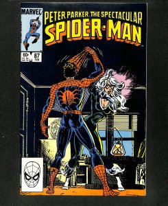 Spectacular Spider-Man #87