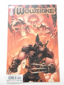 Wolverine #2 (2020)