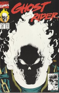 Ghost Rider Vol 2 # 15 Glow In The Dark Cover A VF/NM Marvel 1991 [V5]