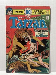 Tarzan #240  1975 DC