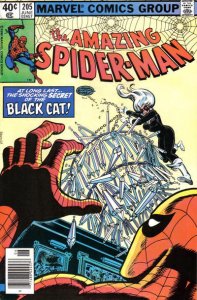 Amazing Spider-Man, The #205 (Newsstand) FN ; Marvel | June 1980 Black Cat