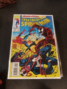 The Spectacular Spider-Man #202 (1993)