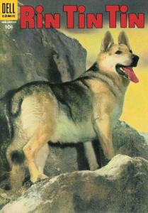 Rin Tin Tin #9, Fine-