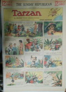 (53) Tarzan Sunday Pages by Burne Hogarth from 1939 Complete Year !  Full Pages