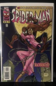 The Spectacular Spider-Man #241 (1996)