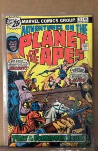 Adventures on the Planet of the Apes #5 (1976)