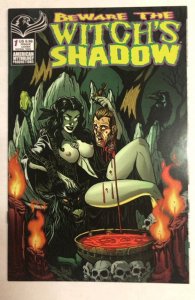 Beware the Witch's Shadow Cover C (2019) Risque