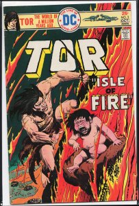 Tor #3 (1975) Tor