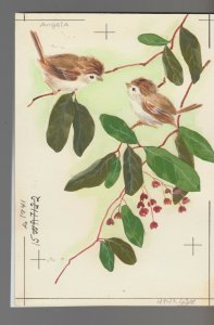 HAPPY ANNIVERSARY Baby Birds on Branch w/ Leaves 5x6.5 Greeting Card Art #A1741