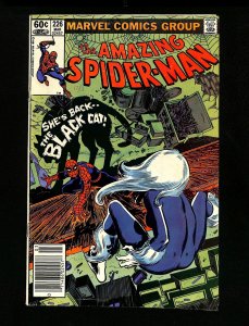 Amazing Spider-Man #226 Newsstand Variant Black Cat!