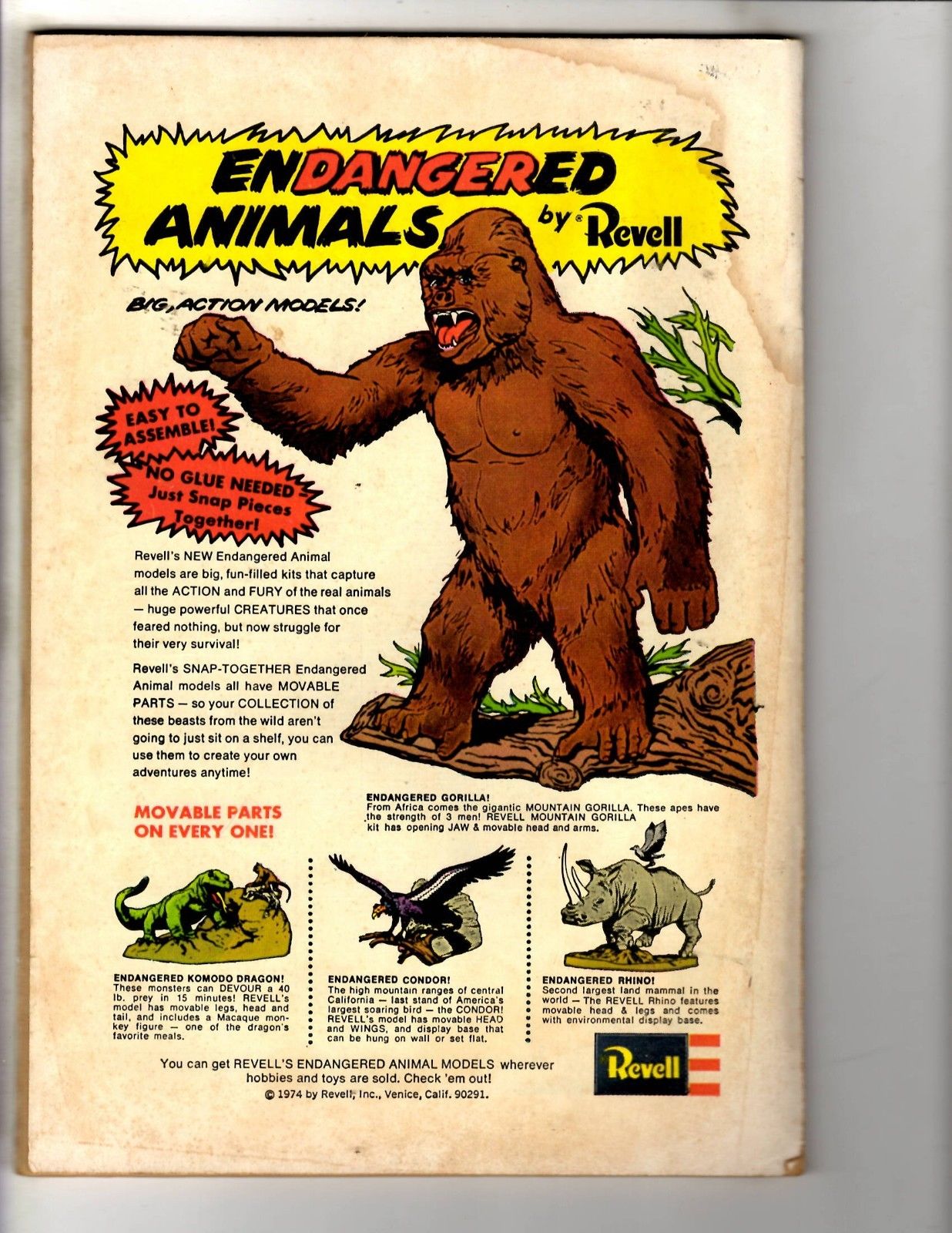 Endangered Species Graphic Organizer - APES : By Reymond P.