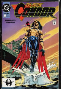 Black Condor #3 (1992) Black Condor