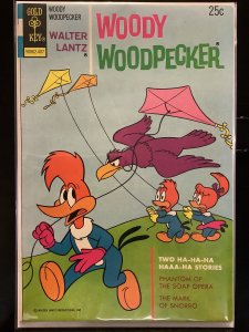 Walter Lantz Woody Woodpecker #137