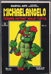 Teenage Mutant Ninja Turtles Teach Karate #2